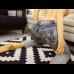 161cm Kaede DollHouse168 161cm Kaede DollHouse168